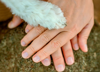 Close-up of man's and  woman's hands, and a dog's paw on top, all together