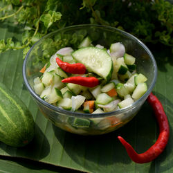 Close-up of chopped fruits in bowl