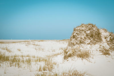 Scenic view of landscape against clear blue sky