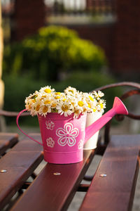 Close-up of pink flower on table