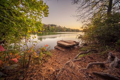 Scenic view of lake in forest against clear sky