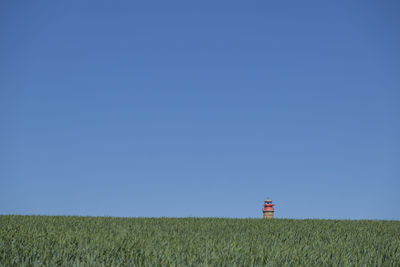 Scenic view of field against clear blue sky