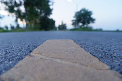 Surface level of road by trees in city