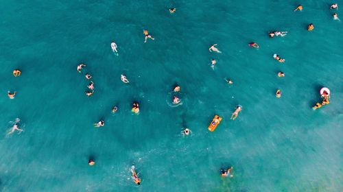 High angle view of people swimming in sea