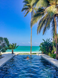 Palm trees in swimming pool