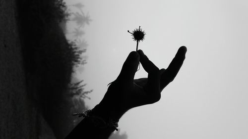 Close-up of silhouette hand against sky