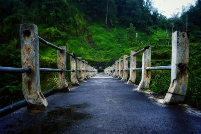 Bridge amidst trees in forest