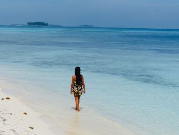 Rear view of man standing on beach