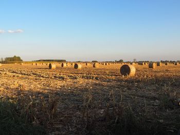 Hay bales on field against clear sky