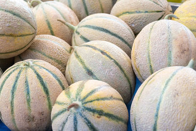 Cantaloupe melons