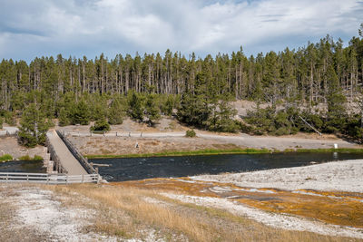 Wooden bridge over river in forest at yellowstone park with sky in background