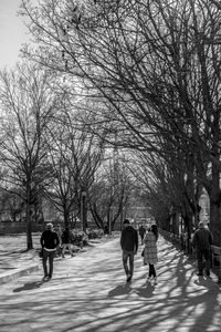 Rear view of men walking on bare trees in winter