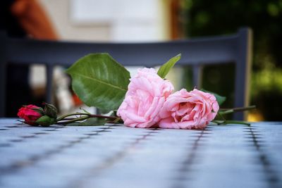 Close-up of rose bouquet on table