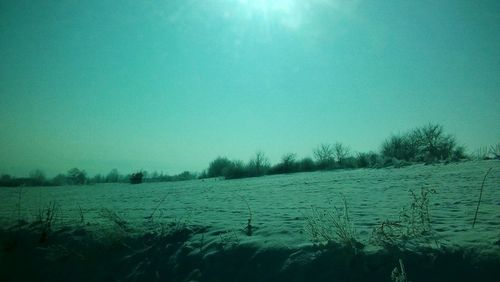 Scenic view of field against clear sky during winter