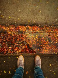 Low section of man standing on autumn leaves