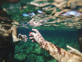 People reaching hands while swimming in sea