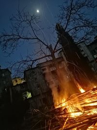 Bare tree against buildings at night