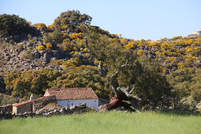 Spring in central portugal 