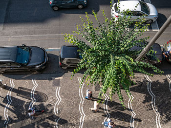 High angle view of cars on road in city