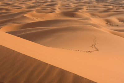 High angle view of sand dunes at beach