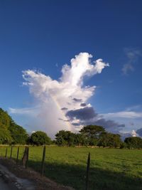 Scenic view of field against sky