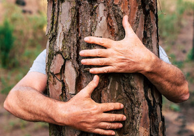 Close-up of man hand holding tree trunk