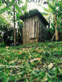 Wooden hut on field in forest