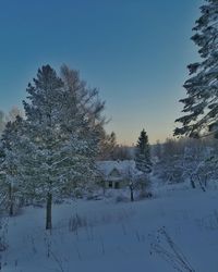 Trees on snow covered field against sky