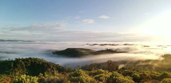 Panoramic view at awan karpet bukit senaling