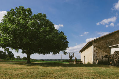 Trees and houses on field against sky