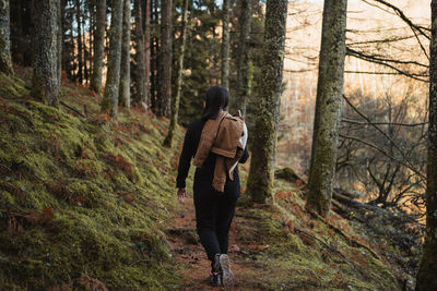 Rear view of man walking in forest