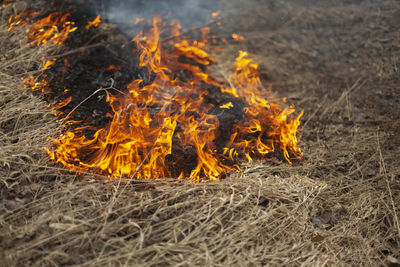 Close-up of bonfire on field