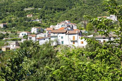 High angle view of trees and buildings in town