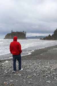 Rear view of man standing on beach