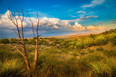 Scenic view of landscape against sky