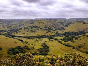 Scenic view of landscape against sky