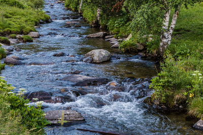 River flowing through rocks in forest