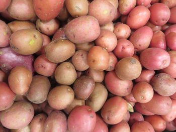 Full frame shot of fruits for sale at market stall