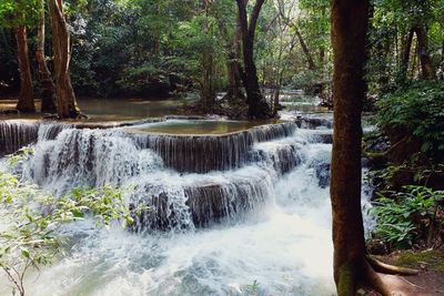 Scenic view of waterfall in forest