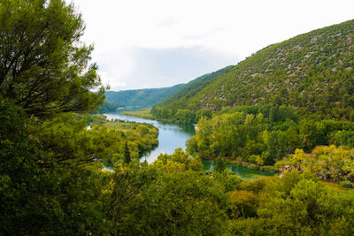 Scenic view of river in forest against sky