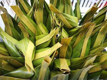 Close-up of vegetables