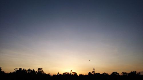 Silhouette trees against sky during sunset