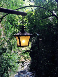 Low angle view of illuminated birdhouse on tree