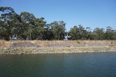 View of pond with trees in background