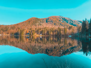 Scenic view of lake by trees against blue sky