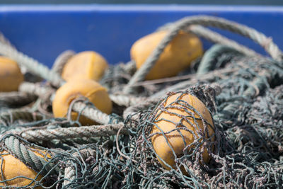 Close-up of fishing net and buoys