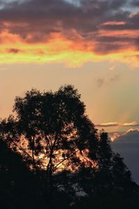 Low angle view of silhouette trees against dramatic sky