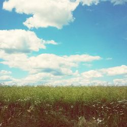 Scenic view of field against cloudy sky