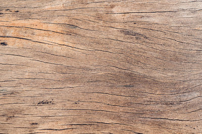 Full frame shot of weathered wooden plank