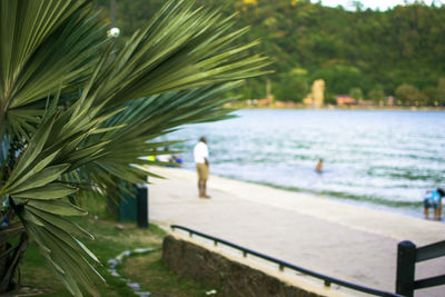 Rear view of people at beach